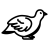 bird_13497661